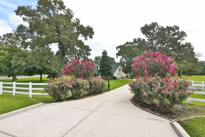 34310 High Point Drive, Magnolia, TX 77355 - Photo 3