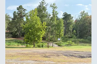 139 Laurel Cove W, Onalaska, TX 77360 - Photo 45