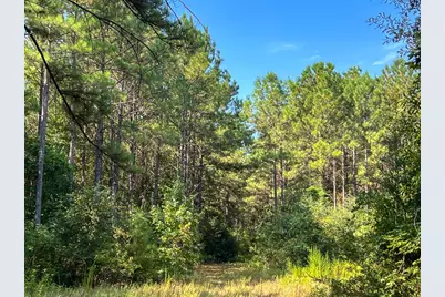 T-4 Cr 2150, Woodville, TX 75979 - Photo 21