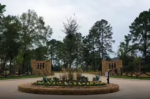 Lot 2 Homestead Hill Rd, New Waverly, TX 77358 - Photo 1