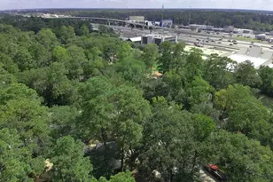 2 Rolling Mill Ln, The Woodlands, TX 77380 - Photo 7