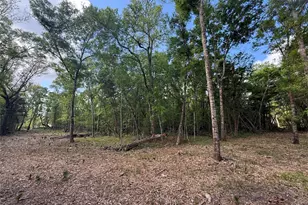 2 Cr 289, Sweeny, TX 77480 - Photo 1