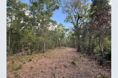 2 Cr 289, Sweeny, TX 77480 - Photo 5