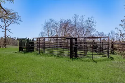 2792 Hwy 287 E, Groveton, TX 75845 - Photo 19