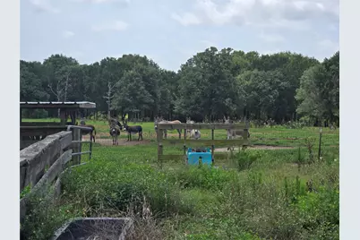 Tbd 01 County Road 302, Plantersville, TX 77363 - Photo 15