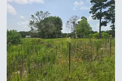 Tbd 01 County Road 302, Plantersville, TX 77363 - Photo 17