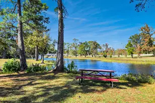 164 Goldenrod, Livingston, TX 77351 - Photo 33