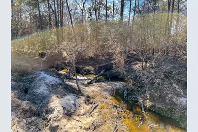 000 Union Springs Rd, Corrigan, TX 75939 - Photo 5