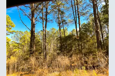 000 Union Springs Rd, Corrigan, TX 75939 - Photo 9