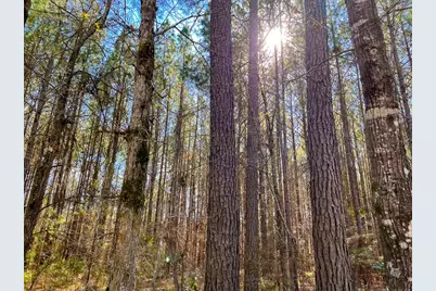 000 Union Springs Rd, Corrigan, TX 75939 - Photo 7