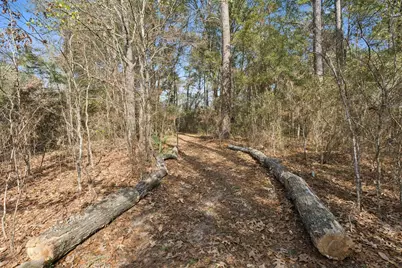 25538 Moore Lane, Montgomery, TX 77356 - Photo 9