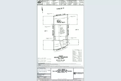 25002 Golden Tallgrass Drive, Katy, TX 77493 - Photo 5
