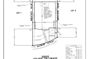 25002 Golden Tallgrass Dr, Katy, TX 77493 - Photo 5
