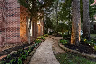 38 N Dragonwood Pl, Spring, TX 77381 - Photo 3