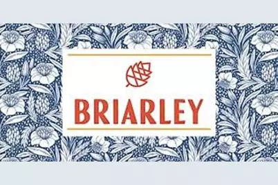 609 Gunner Drive, Montgomery, TX 77316 - Photo 45