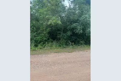 0 Deerwood Drive, Hempstead, TX 77445 - Photo 1