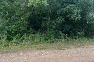 0 Deerwood Dr, Hempstead, TX 77445 - Photo 1