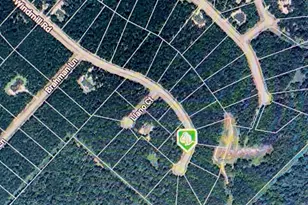 228 Windmill Rd, New Waverly, TX 77358 - Photo 1