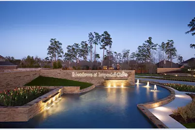 32335 Mossy Pine Way, Conroe, TX 77385 - Photo 5