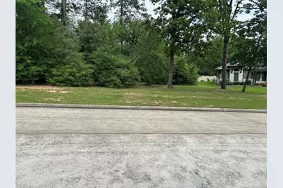 313 Pine Brook Drive, Montgomery, TX 77356 - Photo 7