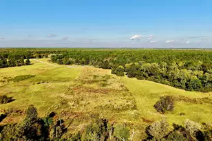 300 Buckhorn Crk Trl, Crockett, TX 75835 - Photo 1