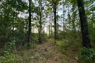 T-1 Hoke Rd, Richards, TX 77873 - Photo 33