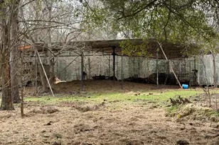 0 Old Hwy 105 E, Cleveland, TX 77327 - Photo 5