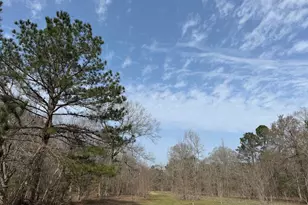 0 Old Hwy 105 E, Cleveland, TX 77327 - Photo 3