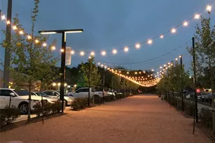 924 Alexander St, Houston, TX 77008 - Photo 39