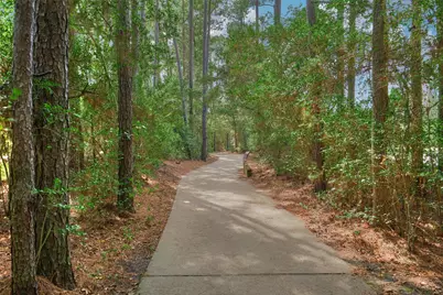 38 E Gaslight Place, The Woodlands, TX 77382 - Photo 47