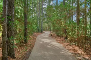 38 E Gaslight Pl, The Woodlands, TX 77382 - Photo 47