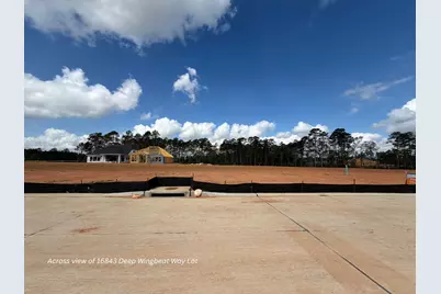 16843 Deep Wingbeat Way, Magnolia, TX 77354 - Photo 11