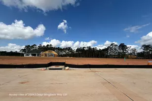 16843 Deep Wingbeat Way, Magnolia, TX 77354 - Photo 11