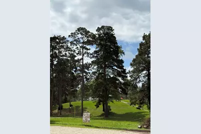 199 Apple Tree, Livingston, TX 77351 - Photo 5