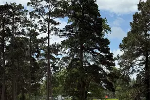 199 Apple Tree, Livingston, TX 77351 - Photo 5