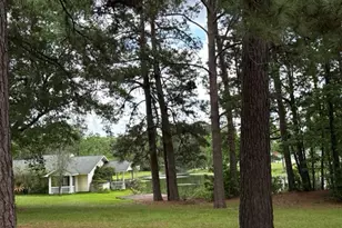 199 Apple Tree, Livingston, TX 77351 - Photo 13