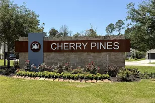 12813 S Winding Pines Dr, Tomball, TX 77375 - Photo 39