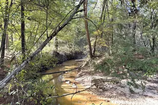 2080 Co Rd 1100, Woodville, TX 75979 - Photo 1