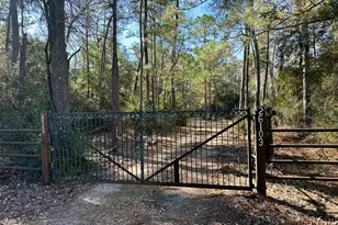 83 Ac Nichols-Sawmill Rd, Magnolia, TX 77355 - Photo 9