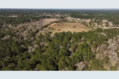 83 Ac Nichols-Sawmill Rd, Magnolia, TX 77355 - Photo 17