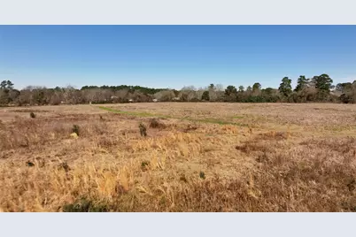 83 Ac Nichols-Sawmill Rd, Magnolia, TX 77355 - Photo 23