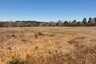83 Ac Nichols-Sawmill Rd, Magnolia, TX 77355 - Photo 23