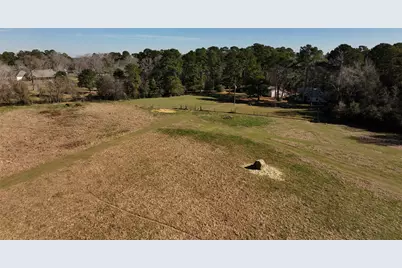 83 Ac Nichols-Sawmill Rd, Magnolia, TX 77355 - Photo 13