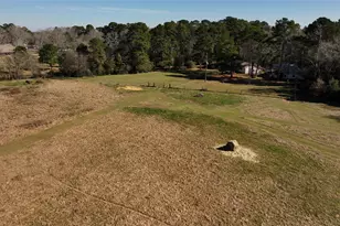 83 Ac Nichols-Sawmill Rd, Magnolia, TX 77355 - Photo 13