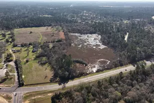 83 Ac Nichols-Sawmill Rd, Magnolia, TX 77355 - Photo 19