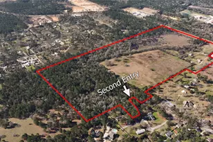 83 Ac Nichols-Sawmill Rd, Magnolia, TX 77355 - Photo 3