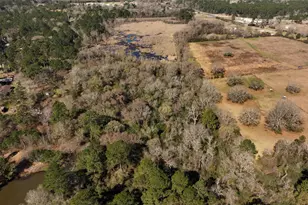 83 Ac Nichols-Sawmill Rd, Magnolia, TX 77355 - Photo 21