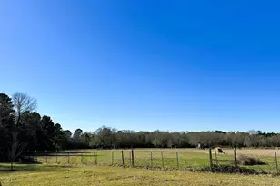 83 Ac Nichols-Sawmill Rd, Magnolia, TX 77355 - Photo 15