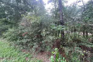 0 Corolla Rd, Magnolia, TX 77354 - Photo 3