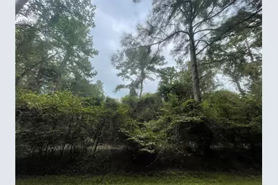 0 Corolla Road, Magnolia, TX 77354 - Photo 1